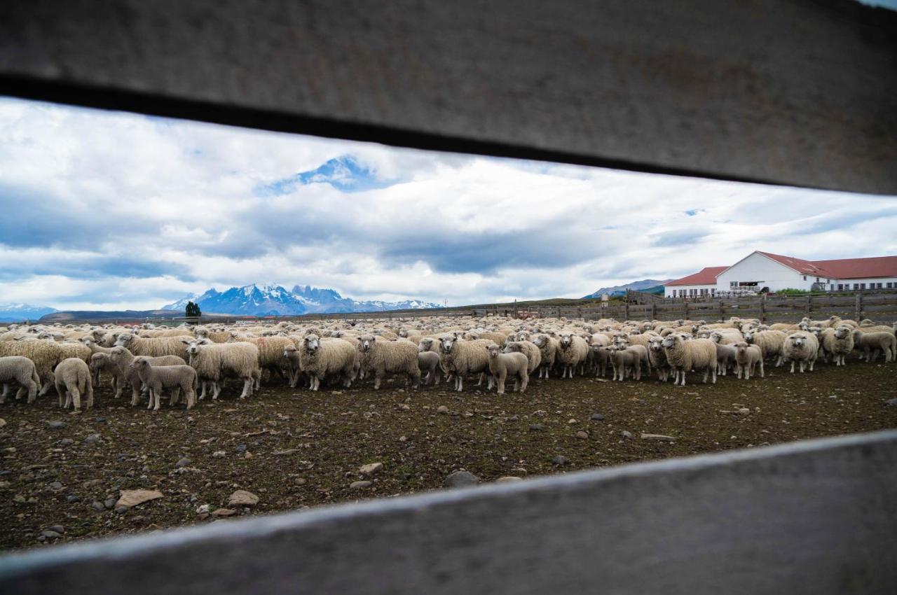 Estancia Cerro Guido Torres del Paine National Park المظهر الخارجي الصورة