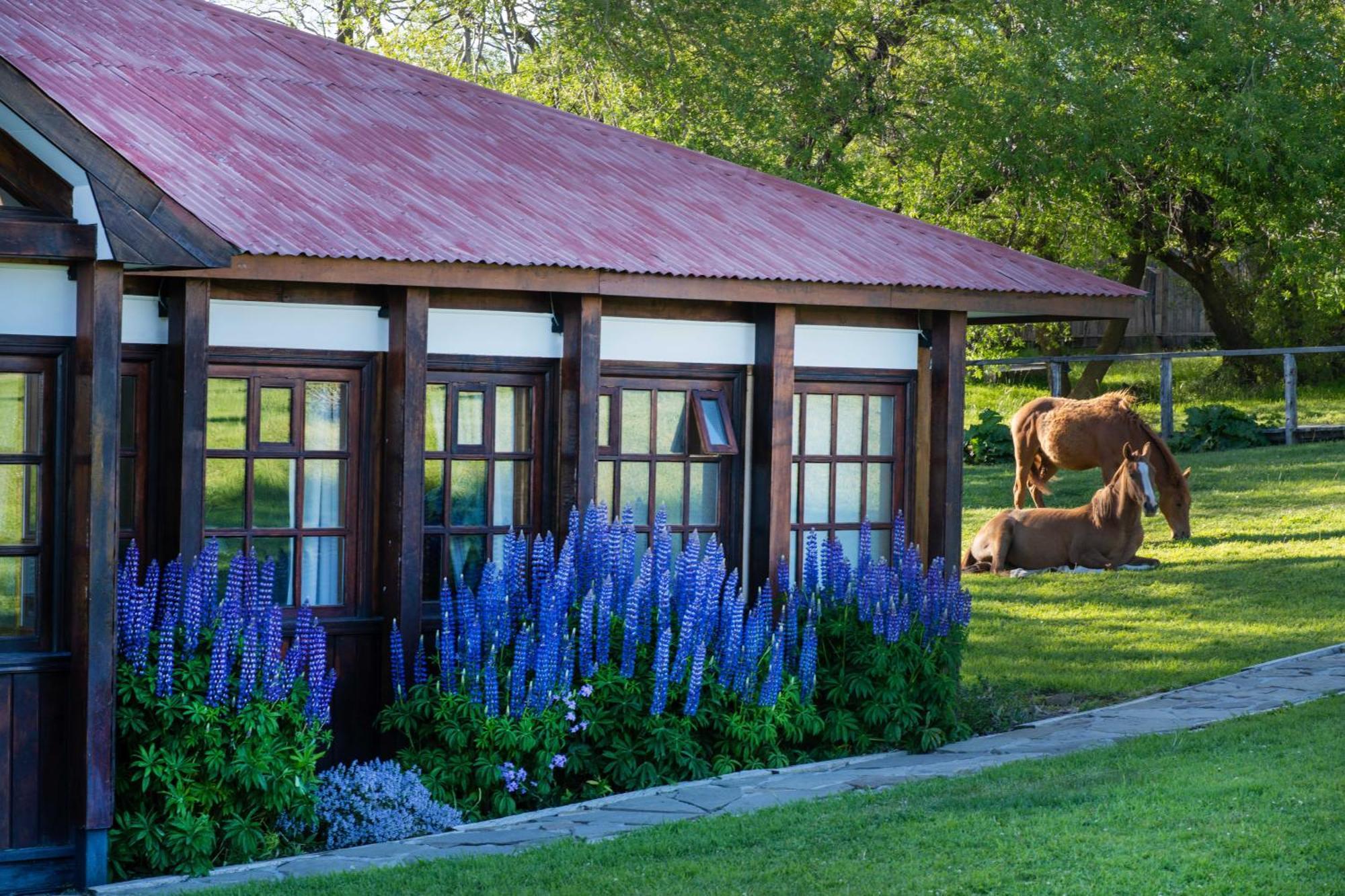 Estancia Cerro Guido Torres del Paine National Park المظهر الخارجي الصورة