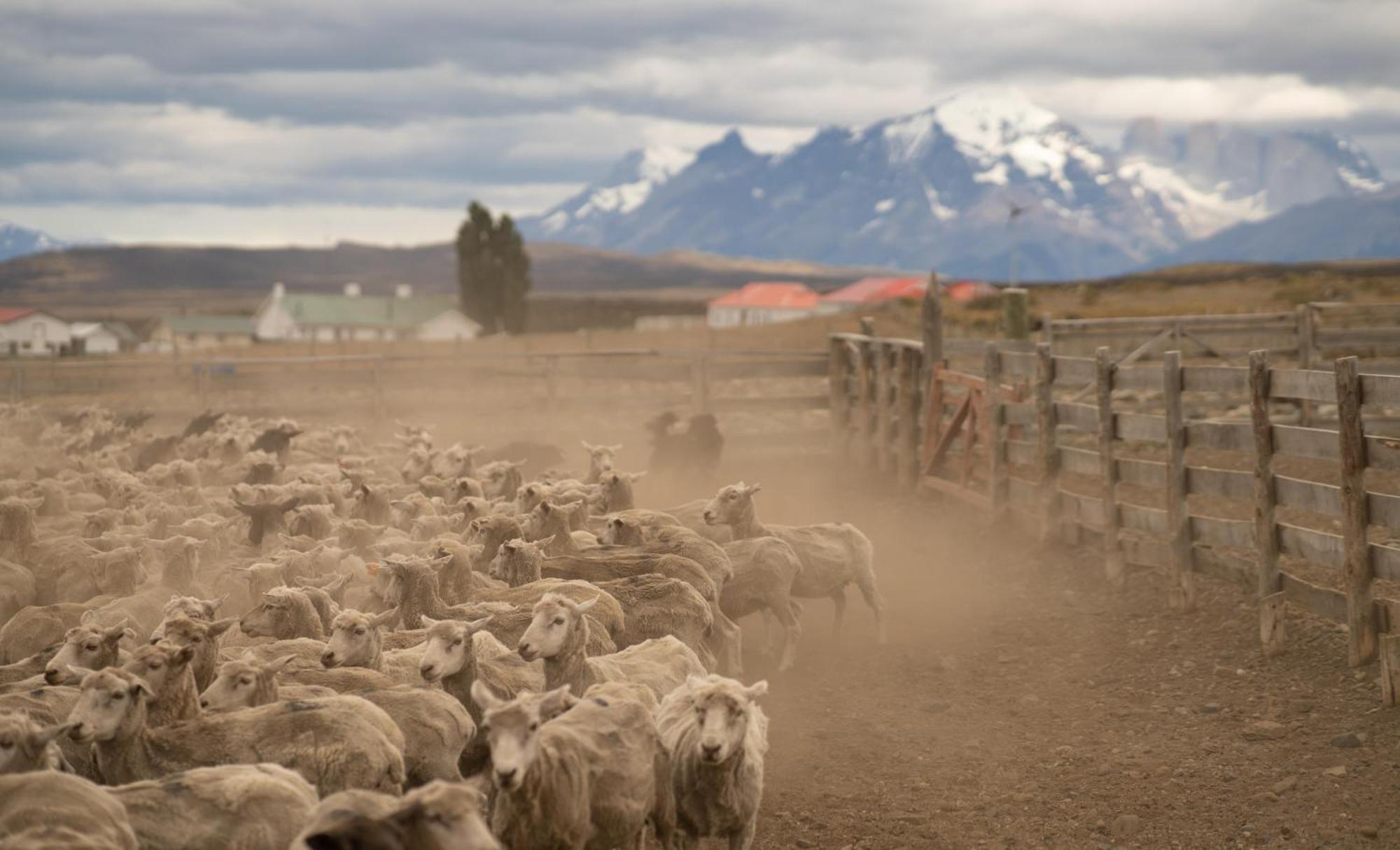 Estancia Cerro Guido Torres del Paine National Park المظهر الخارجي الصورة