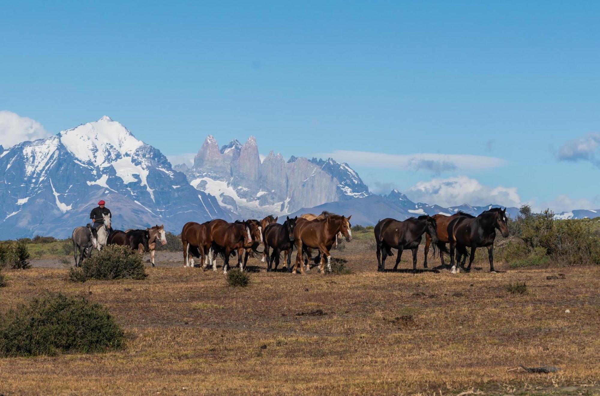 Estancia Cerro Guido Torres del Paine National Park المظهر الخارجي الصورة